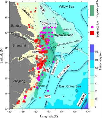 Coupling and Decoupling of High Biomass Phytoplankton Production and Hypoxia in a Highly Dynamic Coastal System: The Changjiang (Yangtze River) Estuary